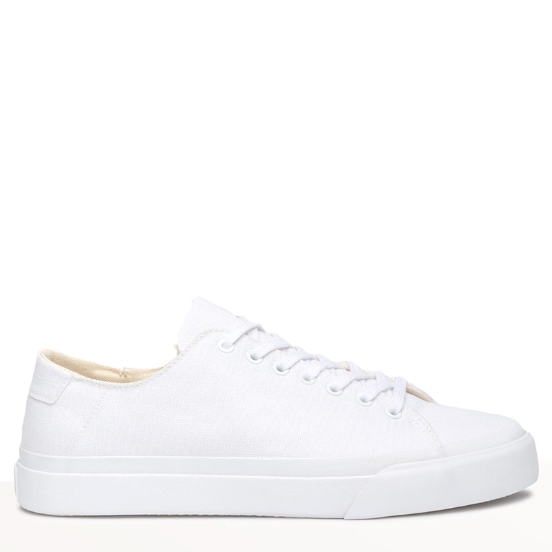 Collective shop canvas shoes